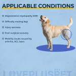  Belly Sling for Large Dogs
