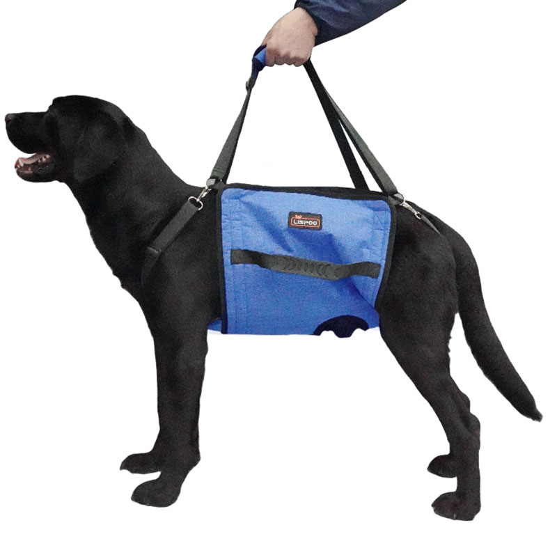 Dog 2024 belly carrier