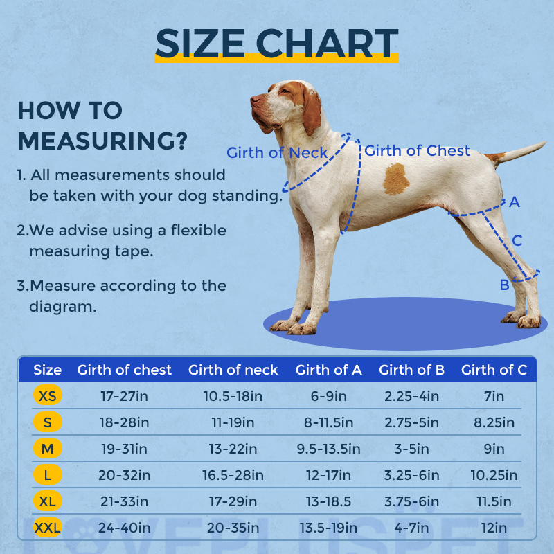 Luxating Patella Dog Knee Brace｜Lovepluspet