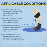 Knuckleless boot brace for dogs