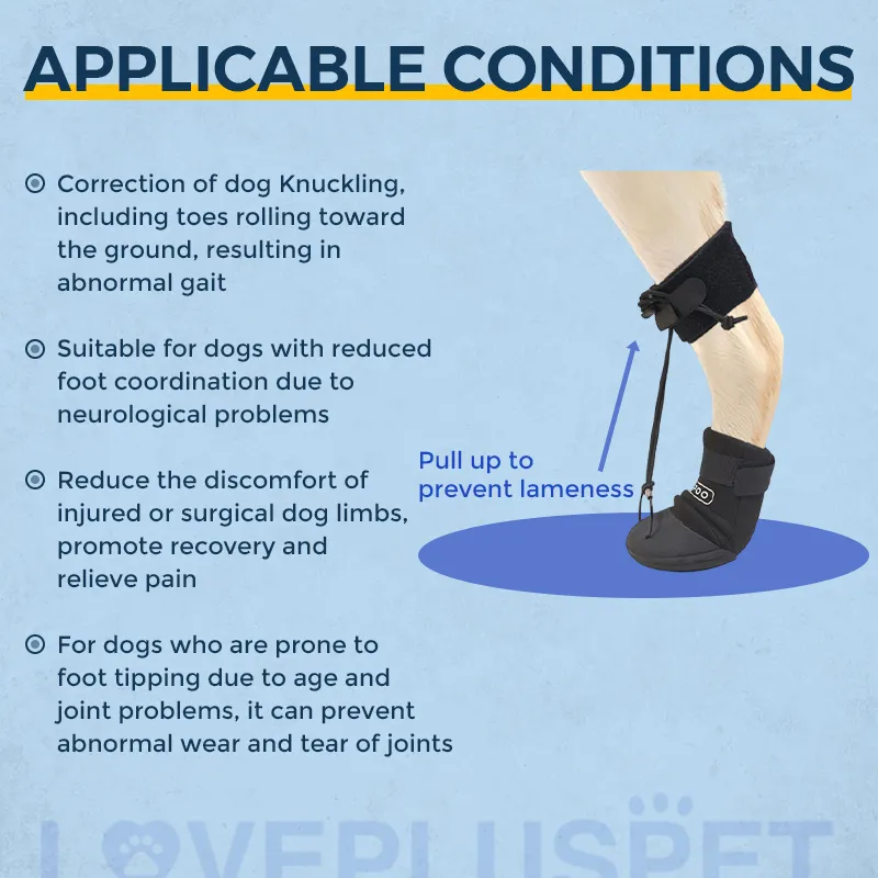 Knuckleless boot brace for dogs