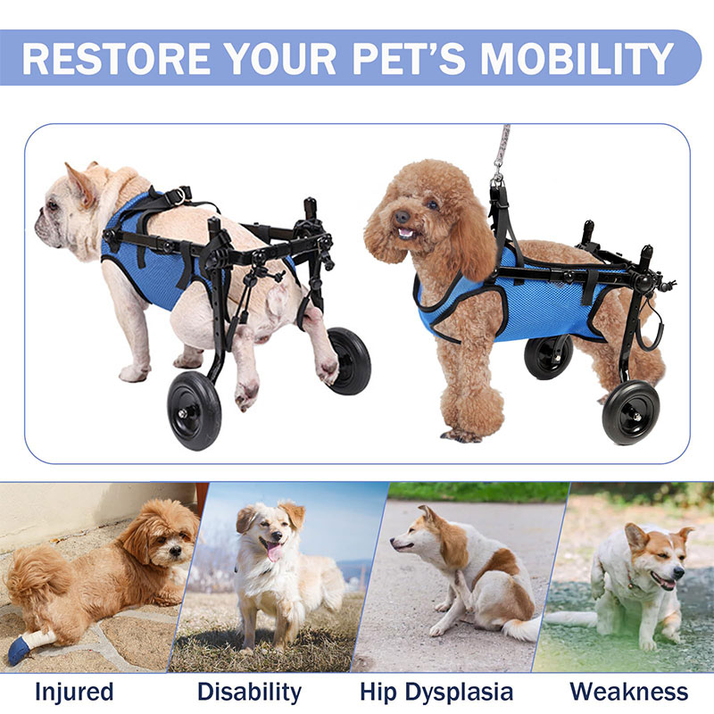 Dog Rear Leg Disability Rehabilitation Wheelchair