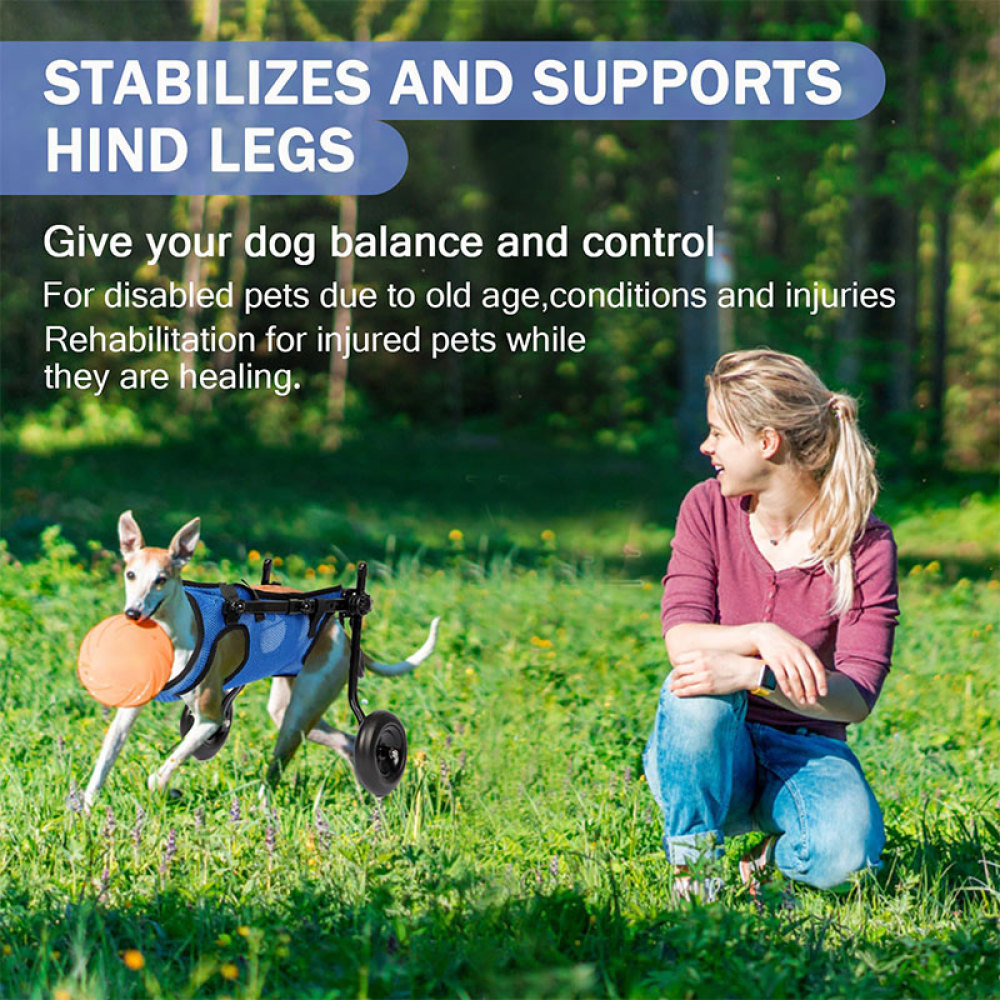Dog Rear Leg Disability Rehabilitation Wheelchair