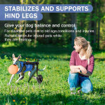 Dog Rear Leg Disability Rehabilitation Wheelchair