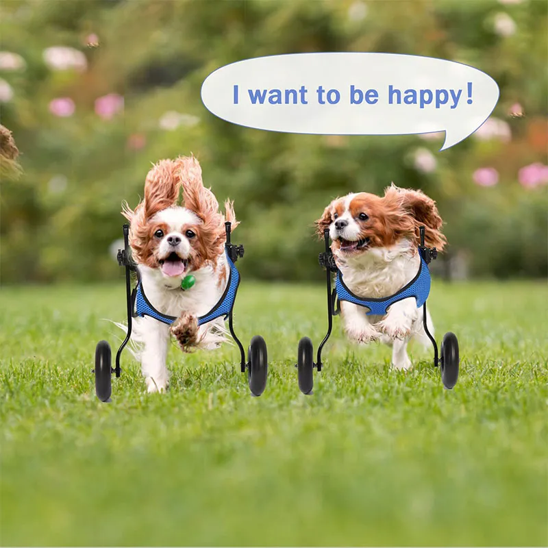 Dog Rear Leg Disability Rehabilitation Wheelchair