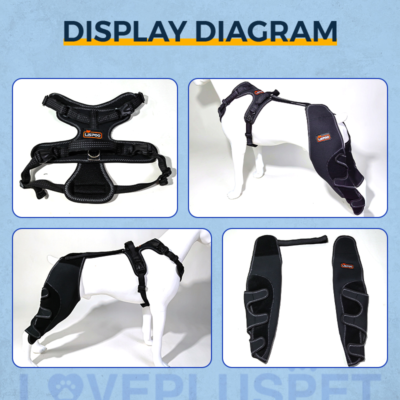 Dog Knee Brace for Back Leg Torn CCL