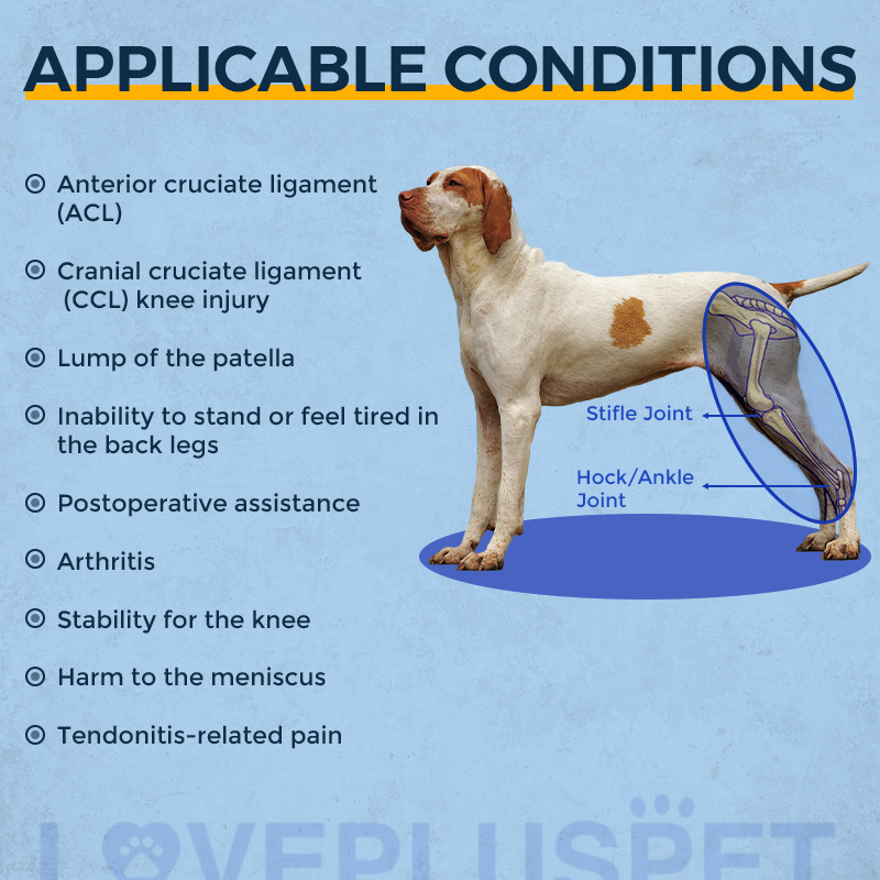 Dog Knee Brace for Back Leg Torn CCL