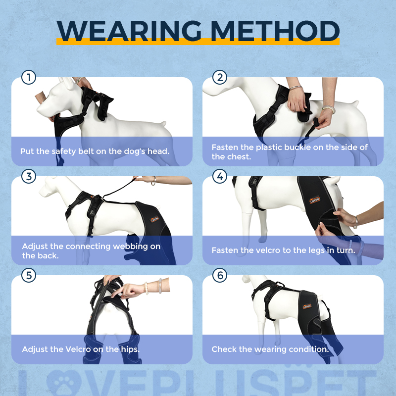 Dog Knee Brace for Back Leg Torn CCL