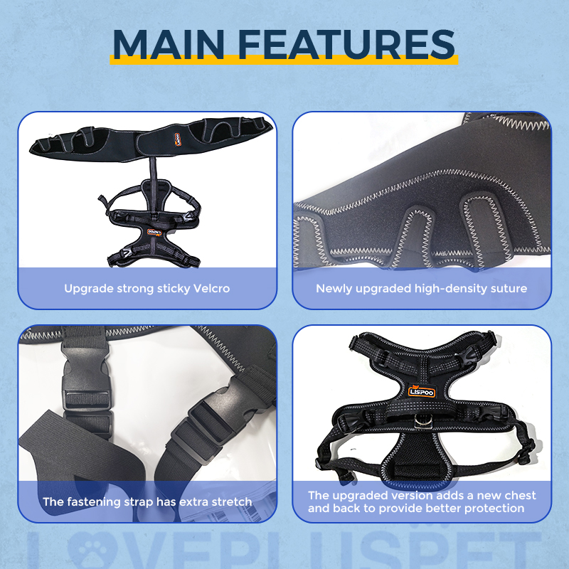 Dog Knee Brace for Back Leg Torn CCL