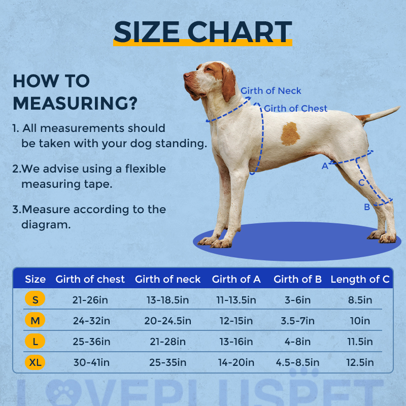 Dog with torn CCL knee brace in hind leg