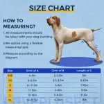 Hinged Dog Leg Brace