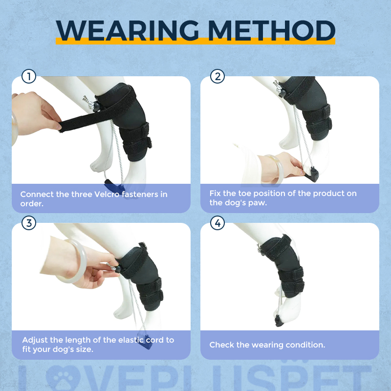 Rear No Knuckling Training Sock For Dogs