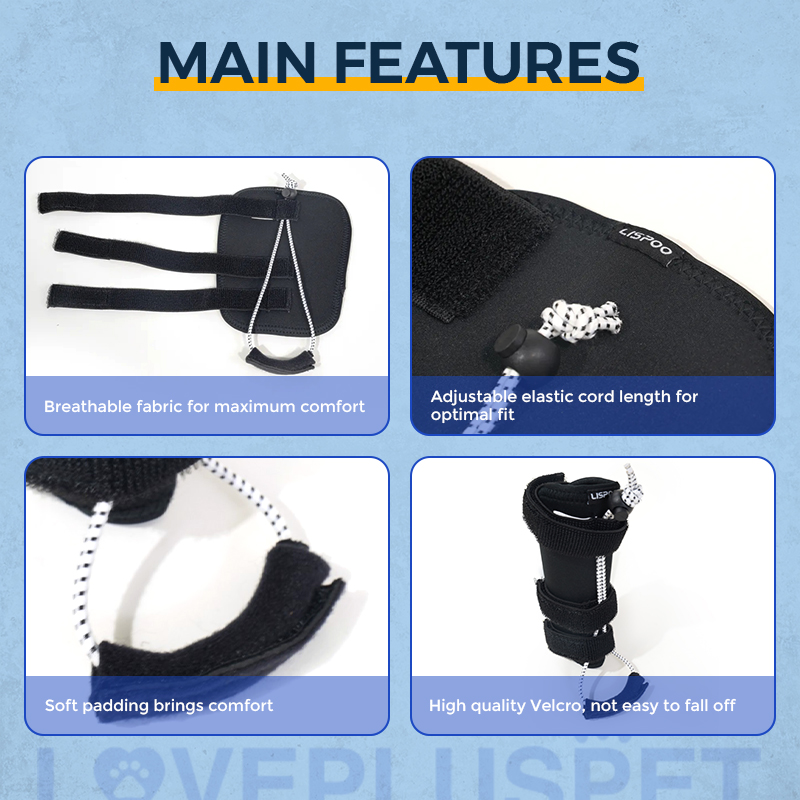 Rear No Knuckling Training Sock For Dogs