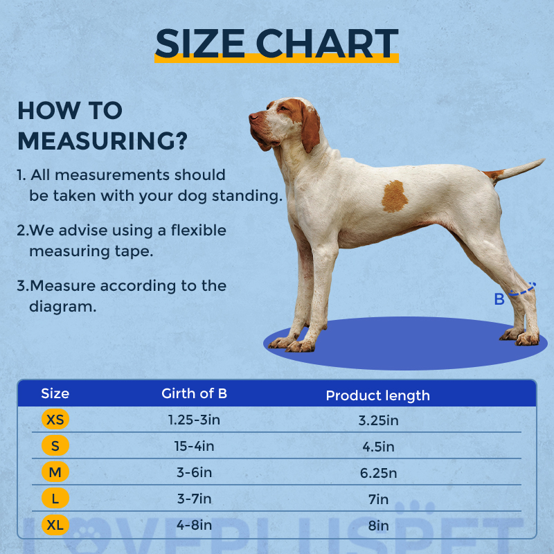 Rear No Knuckling Training Sock For Dogs