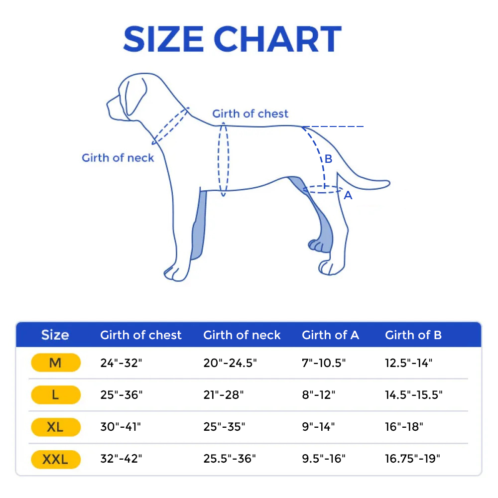 Support brace for dog hip dysplasia