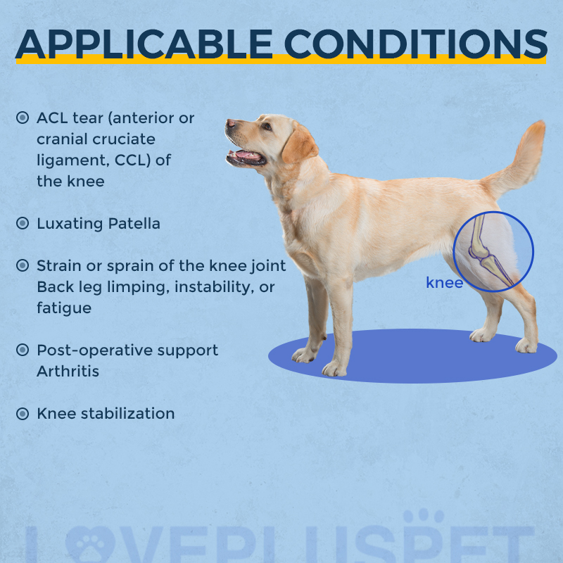 Hinged Dog Double Leg Brace Red