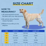 Hinged Dog Double Leg Brace Red