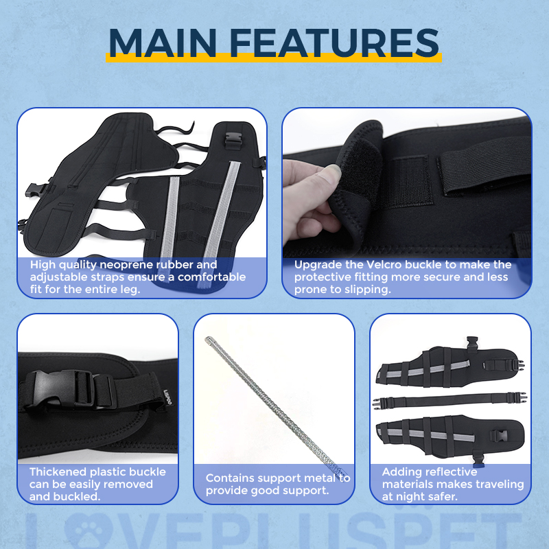 Hinged Dog Double Leg Brace