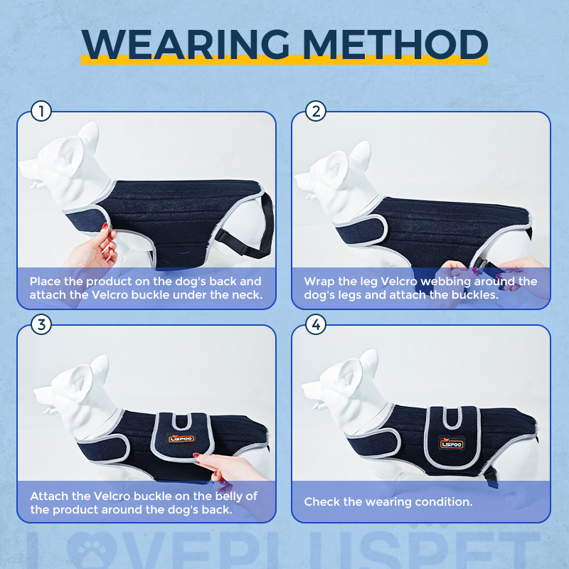 Dog Back Brace for IVDD