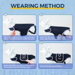 Dog Back Brace for IVDD