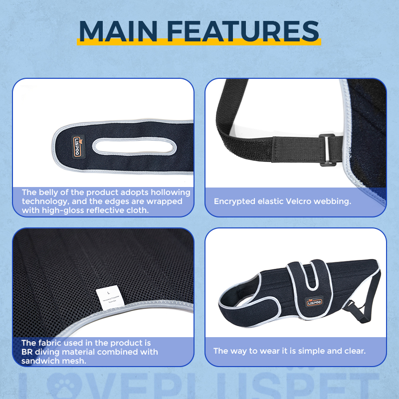 Dog Back Brace for IVDD