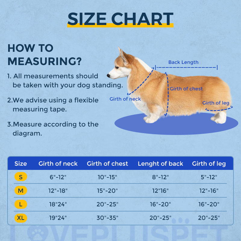 IVDD Dog Back Bracket