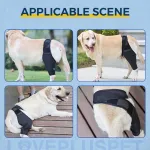 Dog Knee Brace For Torn Acl