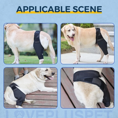 Dog Knee Brace For Torn Acl 02