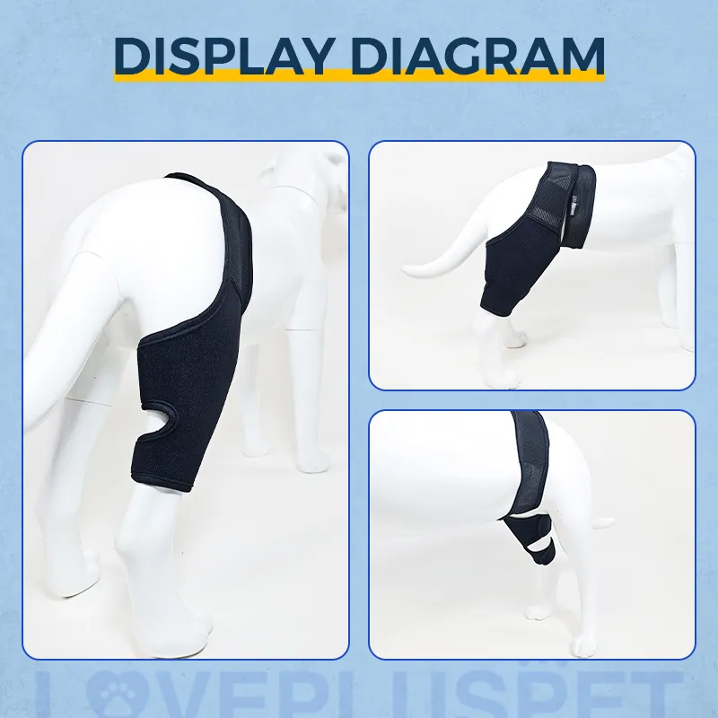 Dog Knee Brace For Torn Acl