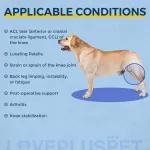 Dog Knee Brace For Torn Acl