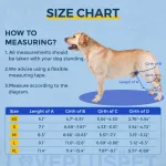 Dog Knee Brace For Torn Acl