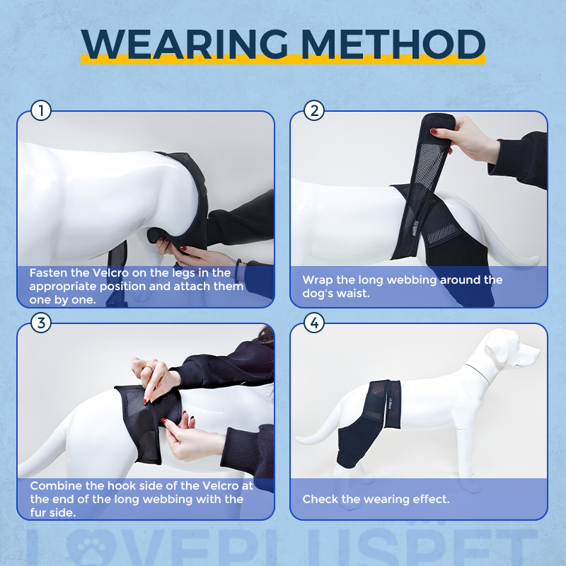 Dog Knee Brace For Torn Acl