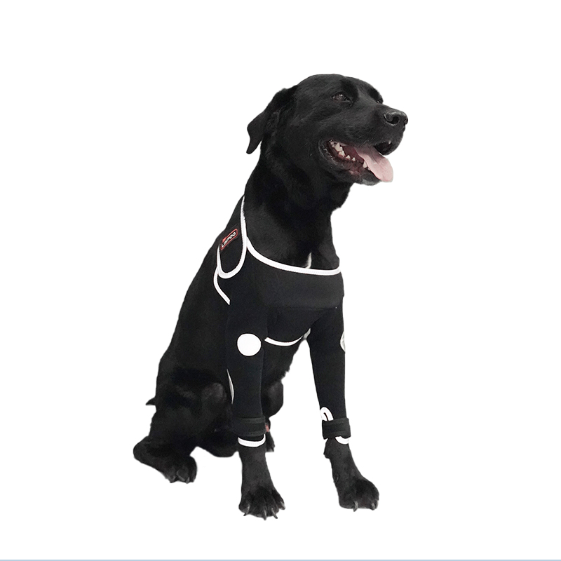 Anti-Lick Elbow Sleeves for Dogs
