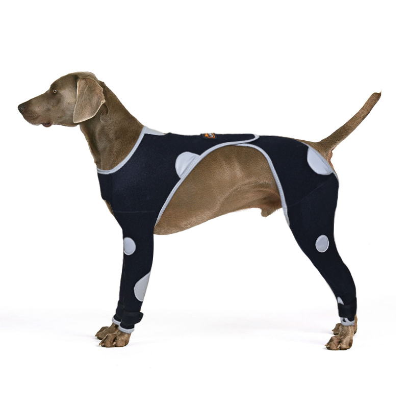 Seat belt prevents dogs from licking legs