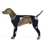 Seat belt prevents dogs from licking legs