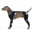Dog Sleeves to Prevent Licking Four Legs