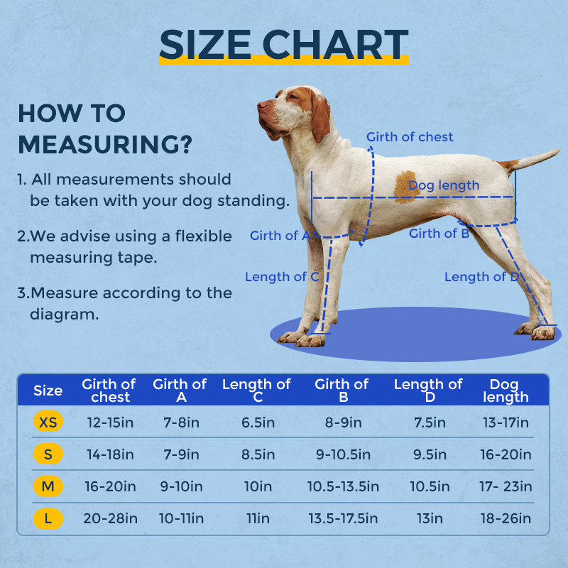 Seat belt prevents dogs from licking legs