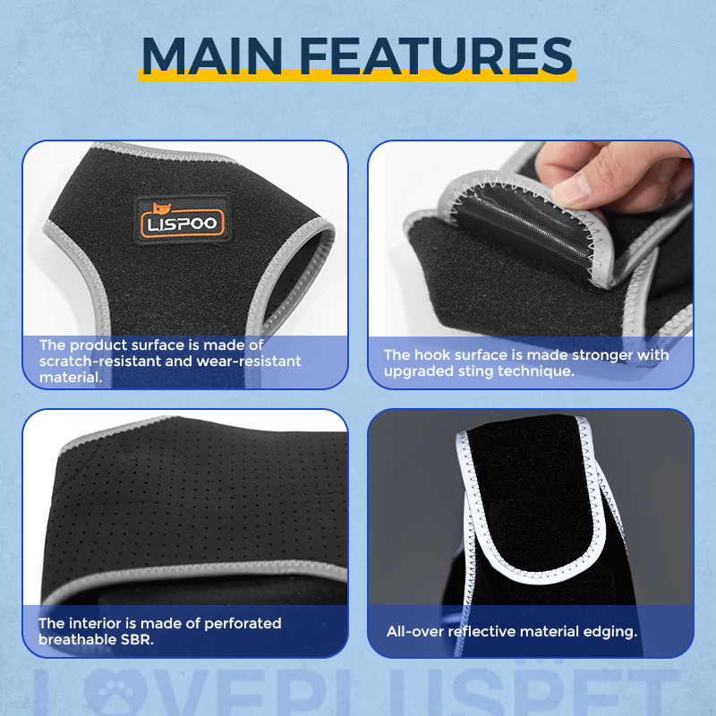 Seat belt prevents dogs from licking legs