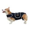 Dog Back Brace for IVDD