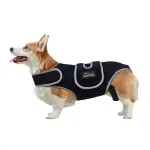 Dog Back Brace for IVDD