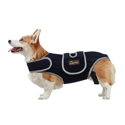 Dog Back Brace for IVDD 01