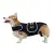 Dog Back Brace for IVDD