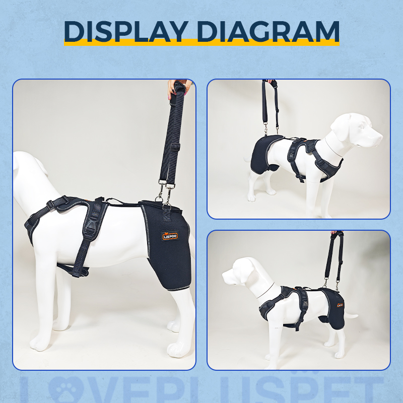 Support brace for dog hip dysplasia