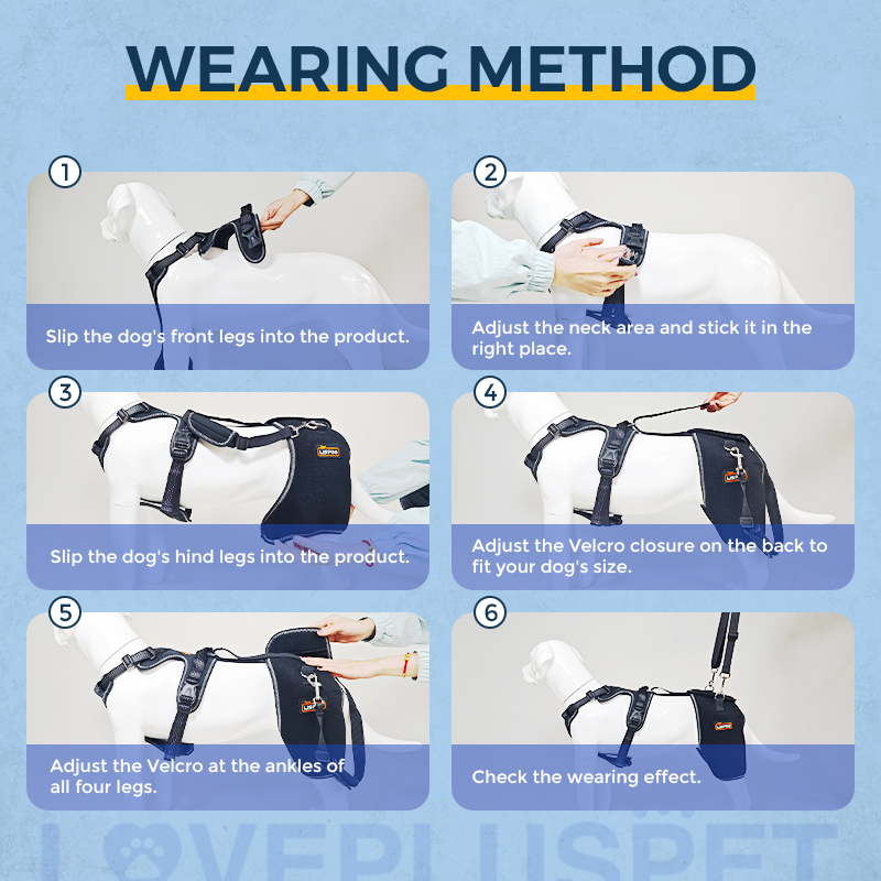 Dog Hip Support Brace for Dysplasia