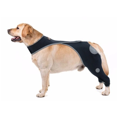 Dog's hind legs lick muzzle 01