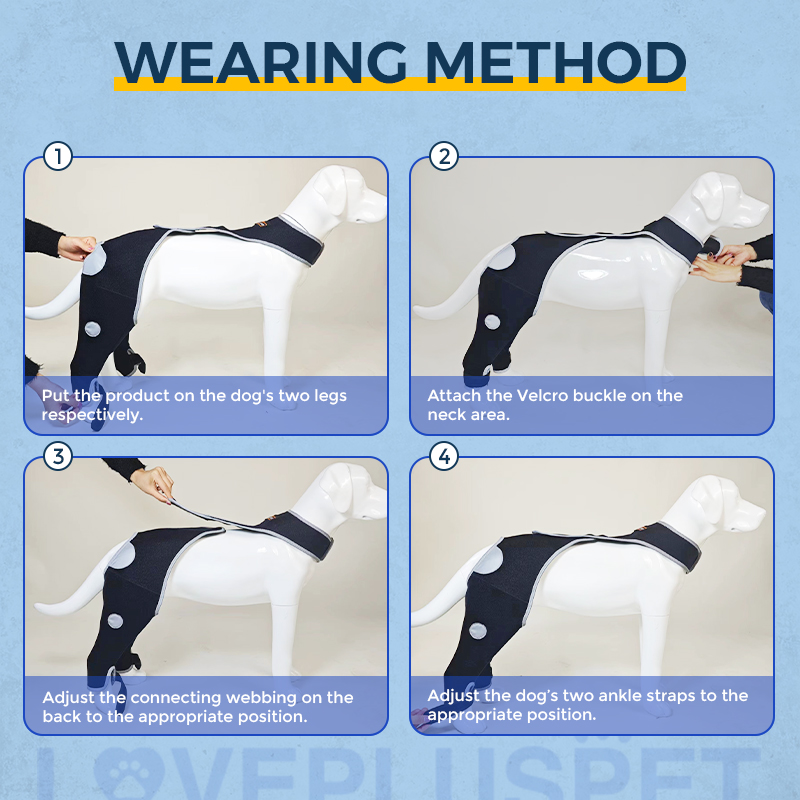 Licking Sleeve for Dogs Hind Leg