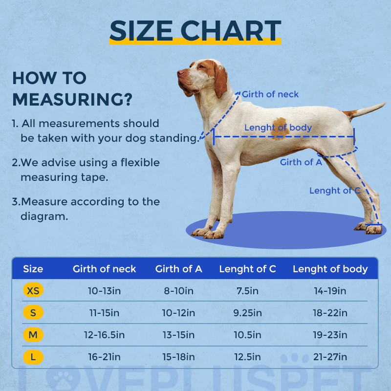 Dog's hind legs lick muzzle
