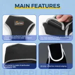 Licking Sleeve for Dogs Hind Leg