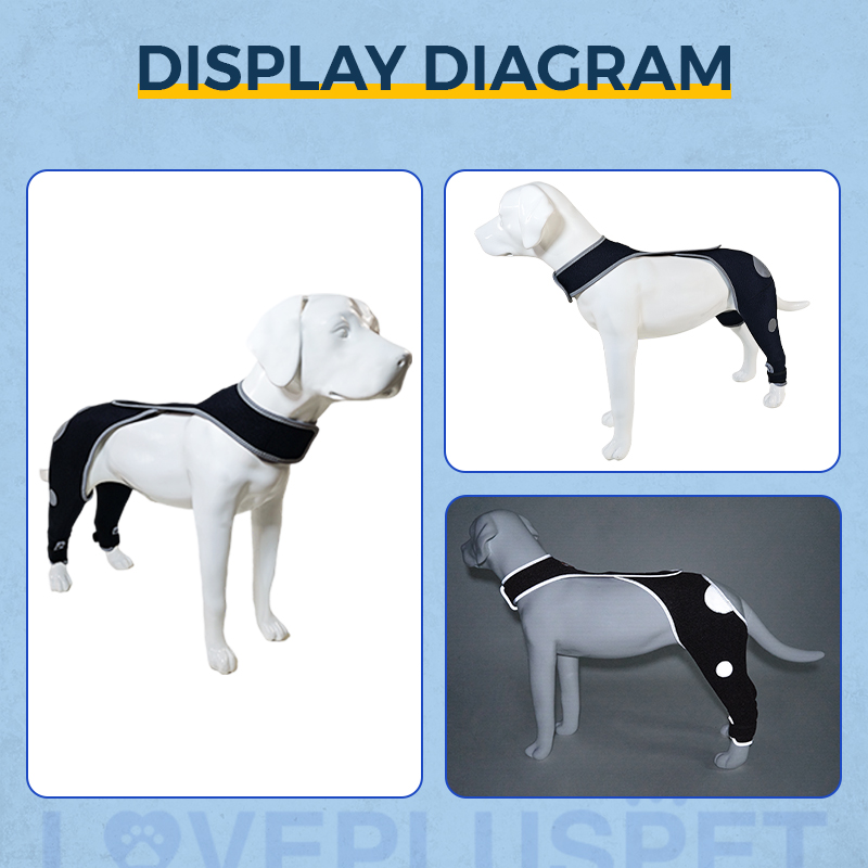 Dog's hind legs lick muzzle