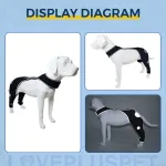 Dog's hind legs lick muzzle